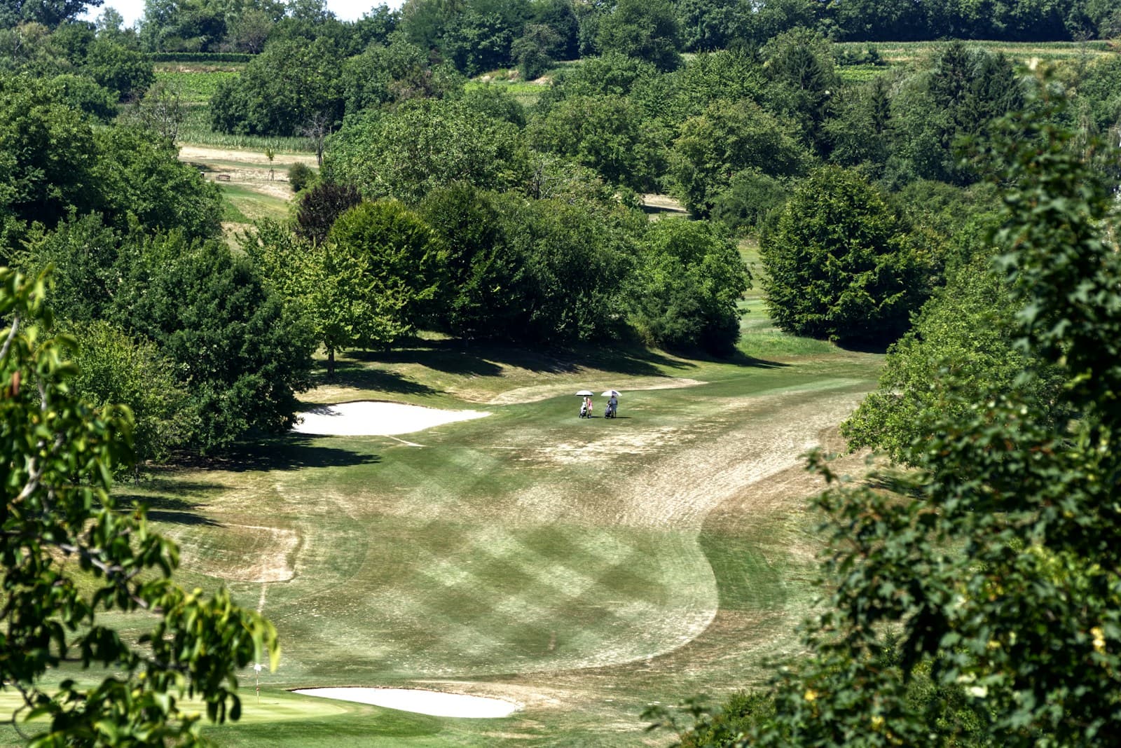 Golf fairway among trees and rolling hills