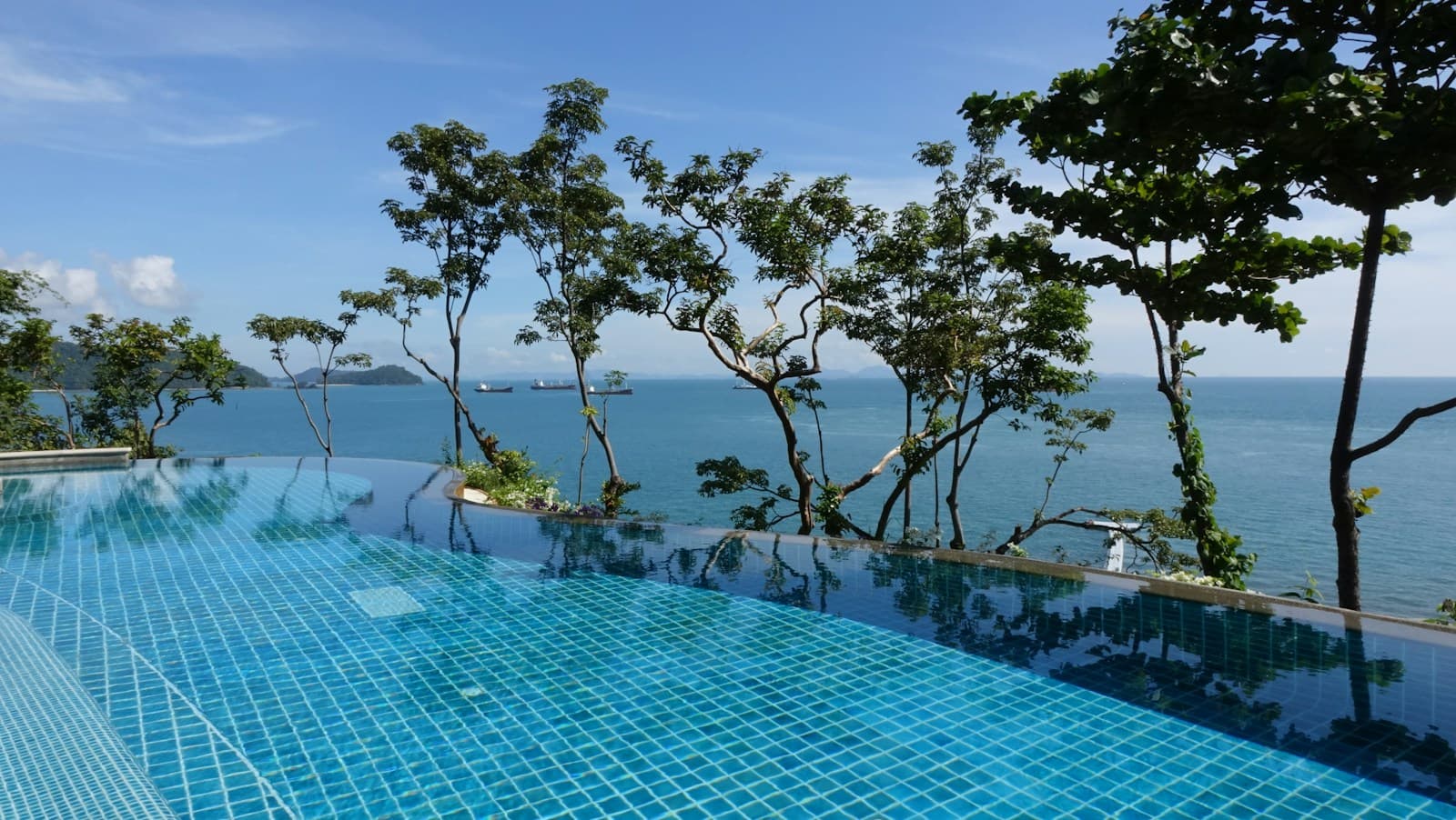 Infinity pool framed by trees and open sea